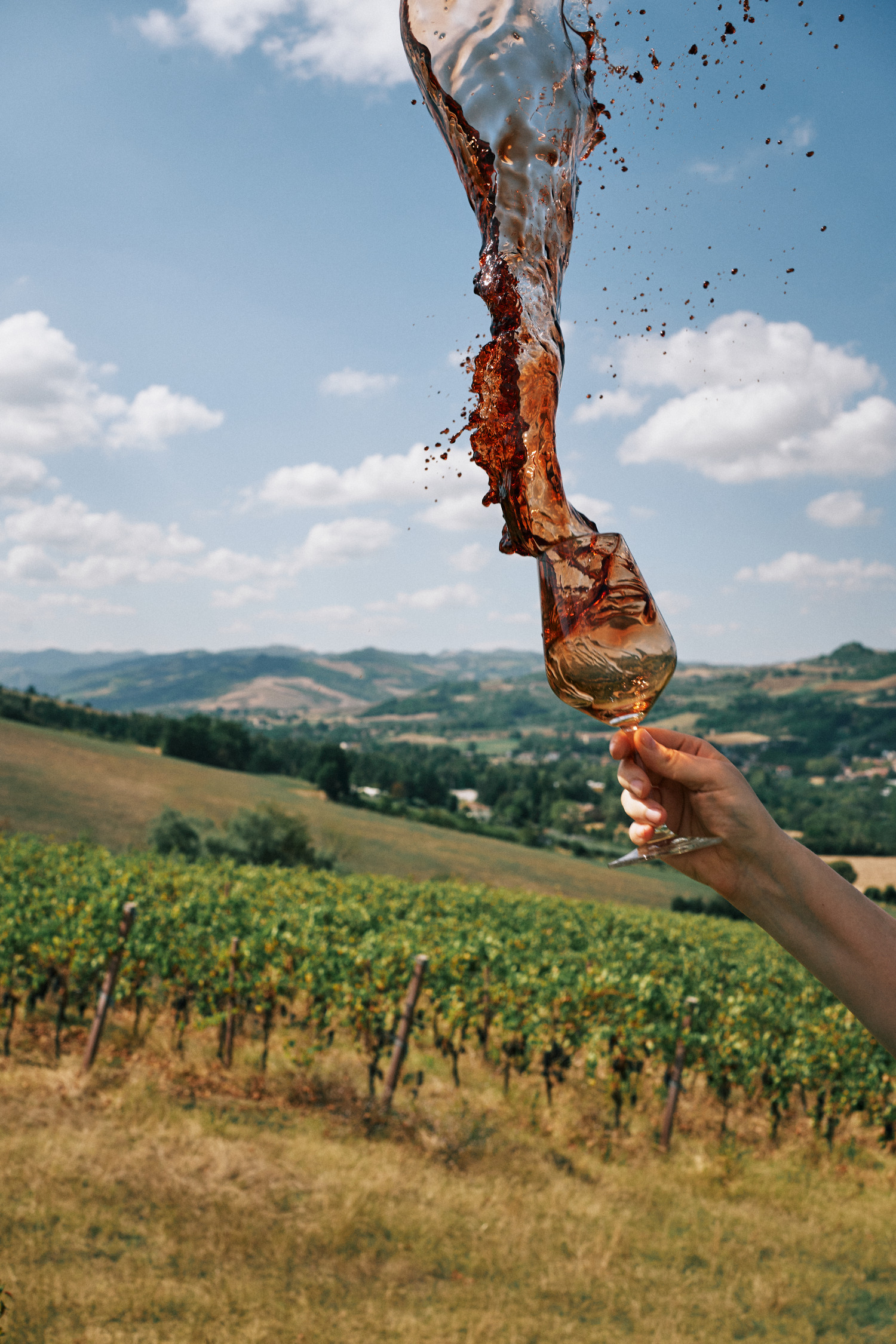 Poggio della Dogana Vineyard at Poggio della Dogana